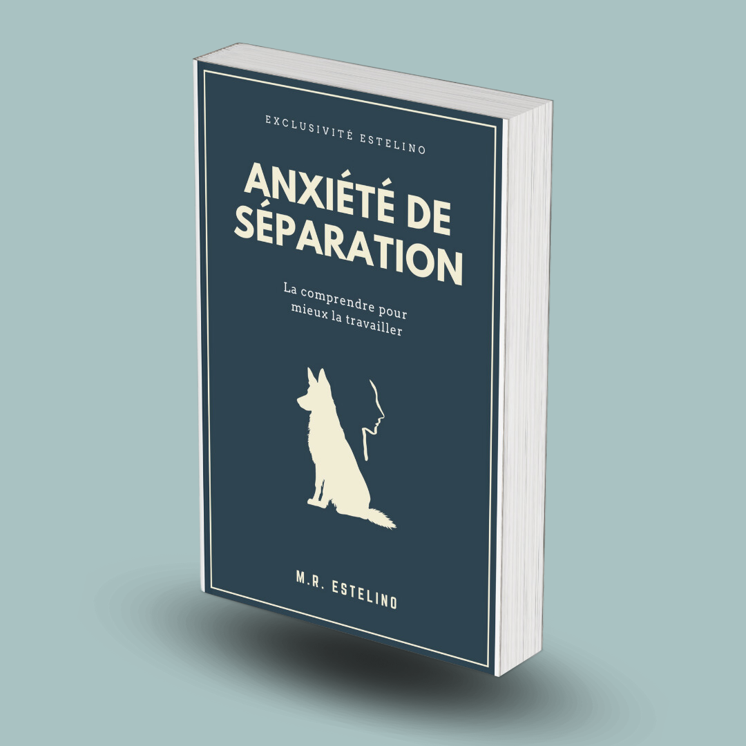 Ebook | Anxiété De Séparation